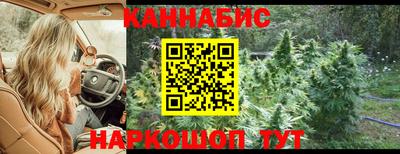 mdpv Краснознаменск