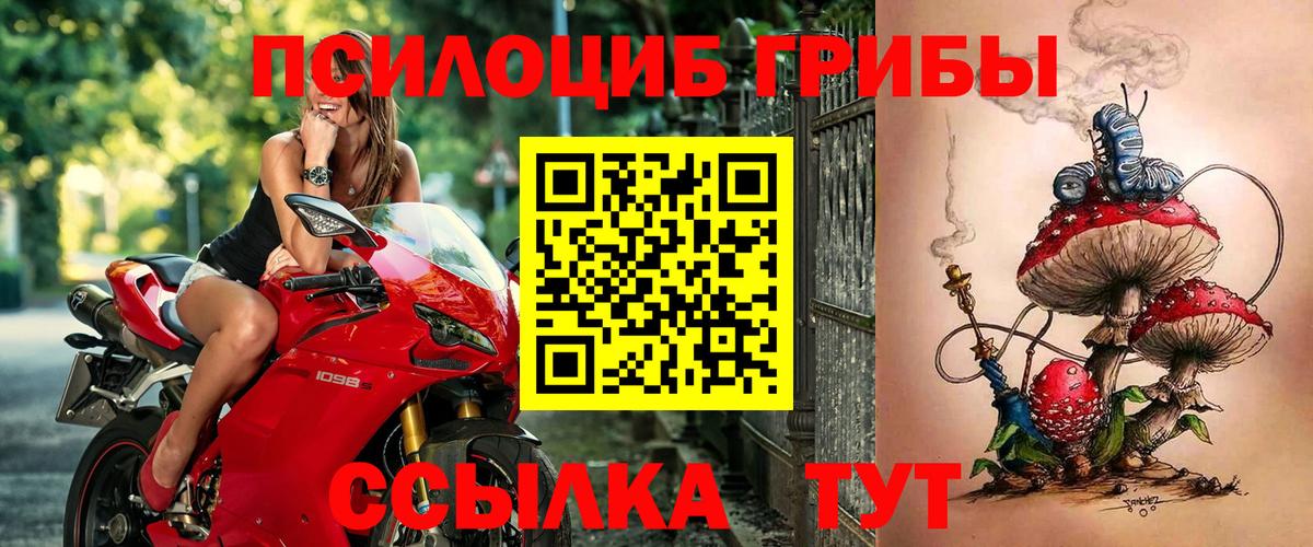 Галлюциногенные грибы Psilocybine cubensis  Вход с VPN  Гусь-Хрустальный  Галлюциногенные грибы мицелий 